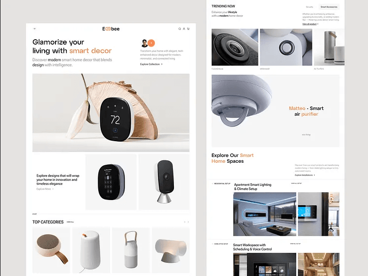 Website Development